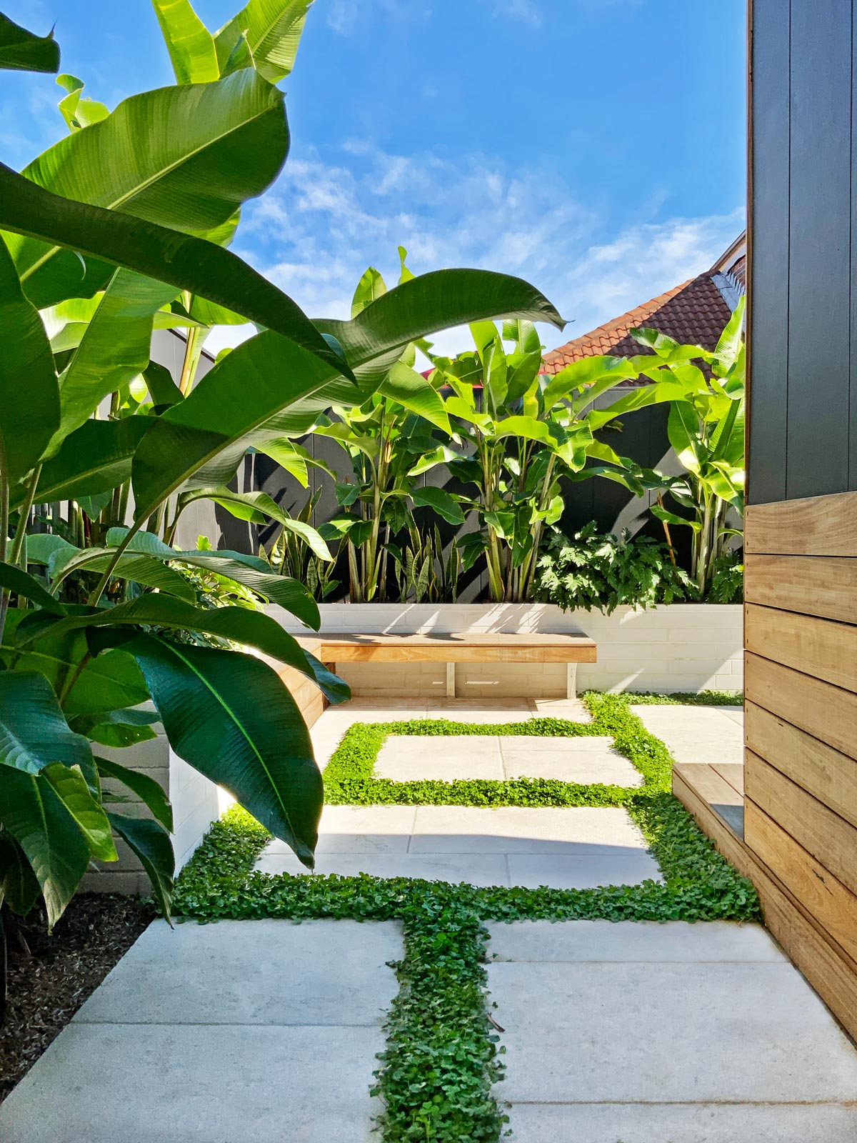 Lush Garden Makeover on Midleton Ave, North Bondi | Bondi Landscapes